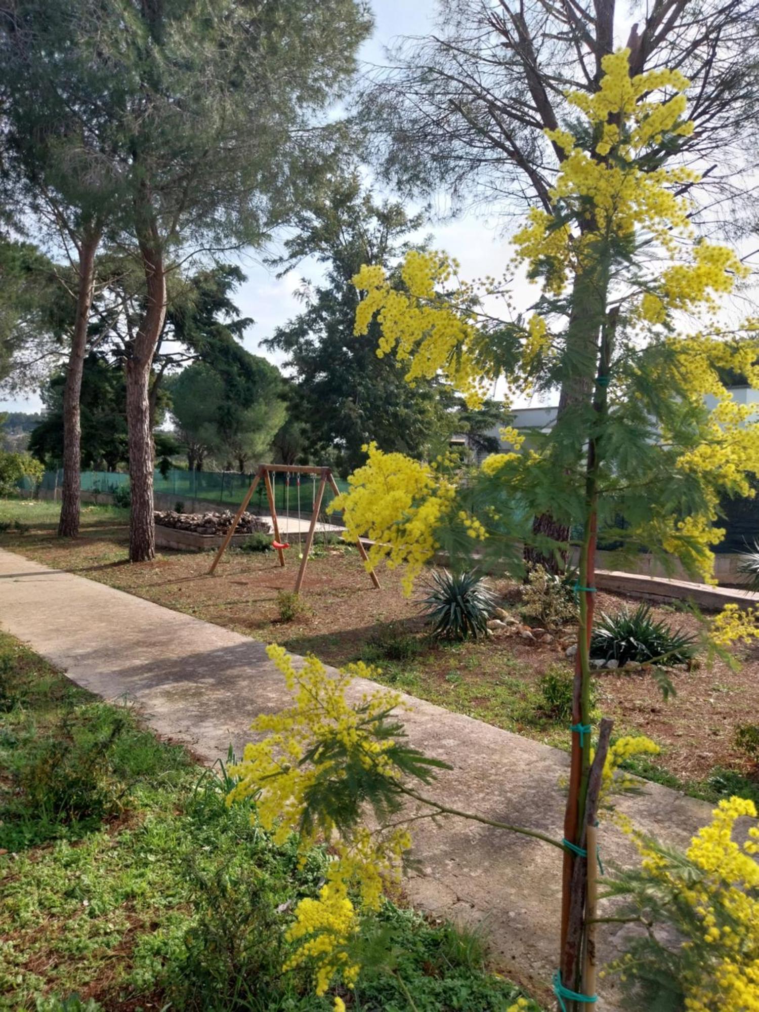Hébergement de vacances Al Pineto San Matteo
