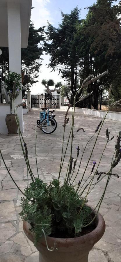 Holiday home Al Pineto San Matteo Ostuni