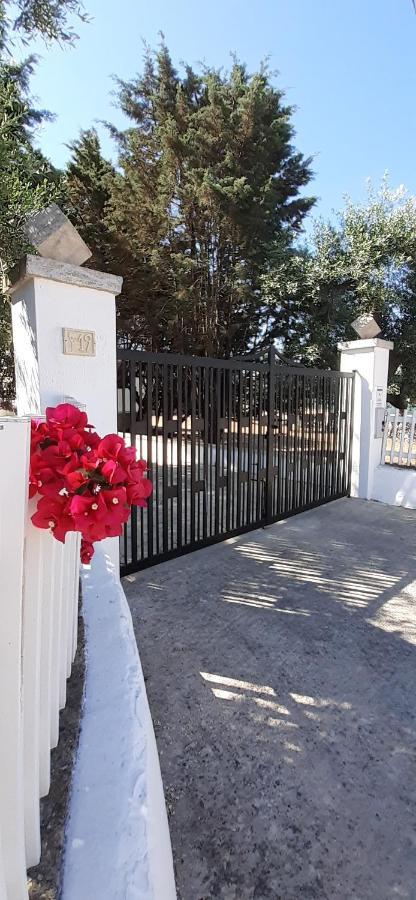 Holiday home Al Pineto San Matteo *